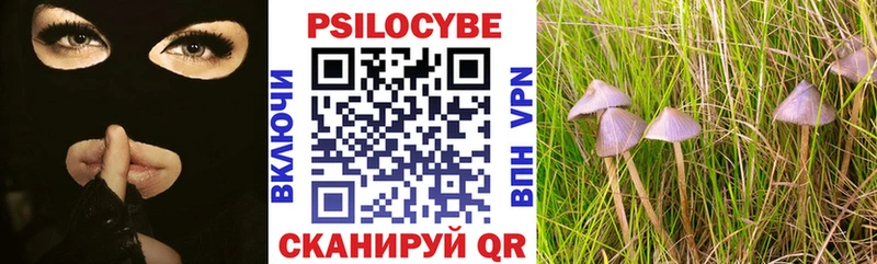 Псилоцибиновые грибы MAGIC MUSHROOMS Болхов